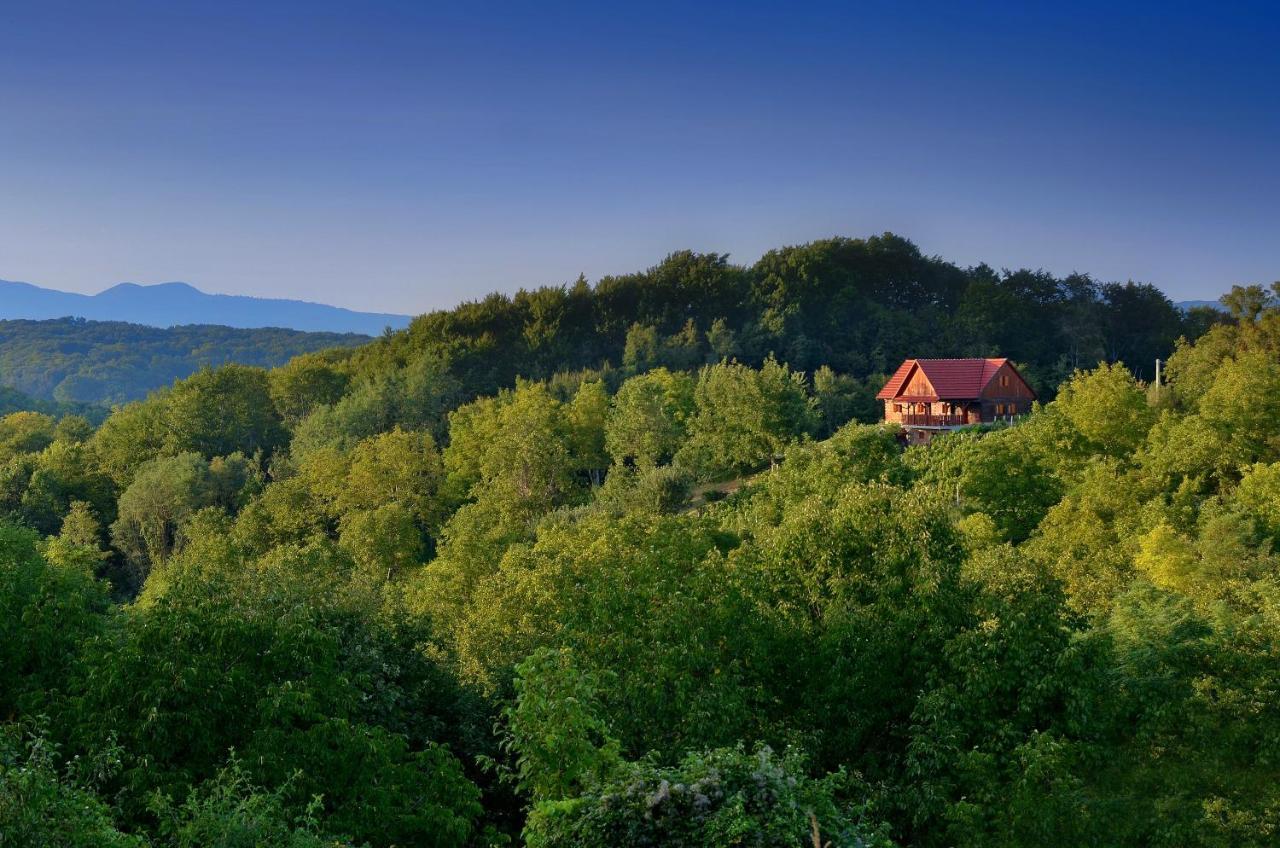 Green Silence Bedenica Экстерьер фото